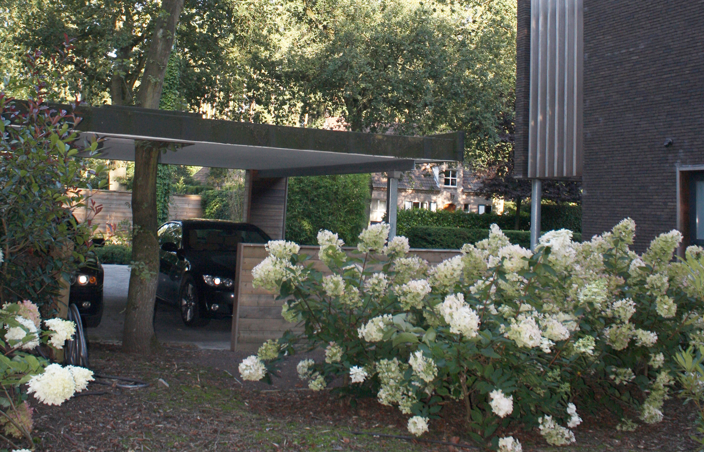 BOS - Kalmthout